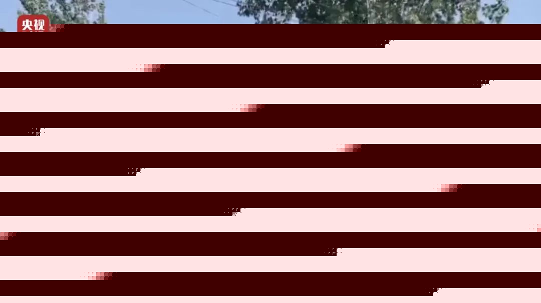 独家曝光！不合规、不达标！这种轮胎流向多地！隐患重重…(图2)