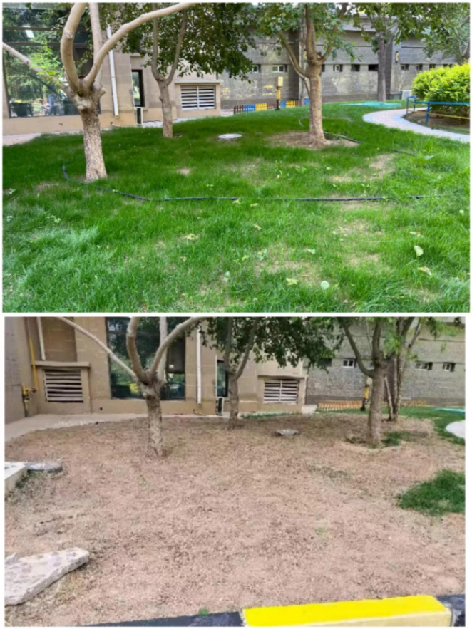 党建引领红色物业用“红心”暖居民走好“放心路”(图3)