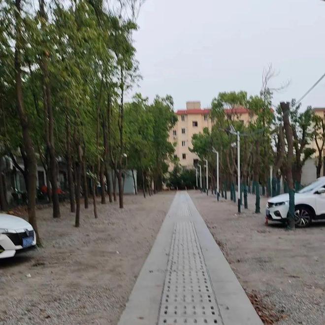 九游会J9：老街焕发新活力出行便利更惬意(图4)