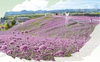 花溪：“生态立区”逐绿行(图2)