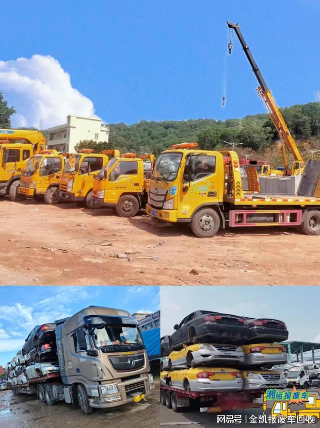J9九游会：文昌附近报废车(图2)