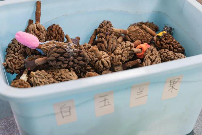 这是一个“奇奇怪怪”的老师但孩子们都喜欢他(图7)