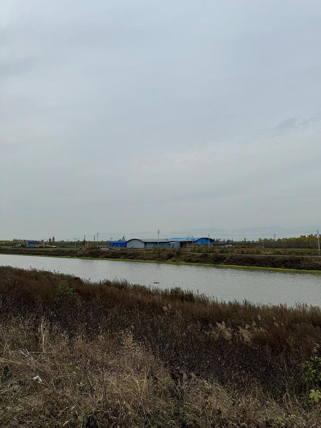 湃调查｜动力电池回收乱象：暴力拆解再组装“三无产品”(图2)