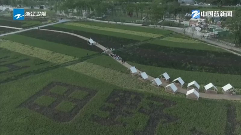 新春走基层丨“轮胎村”的“光明路”(图10)