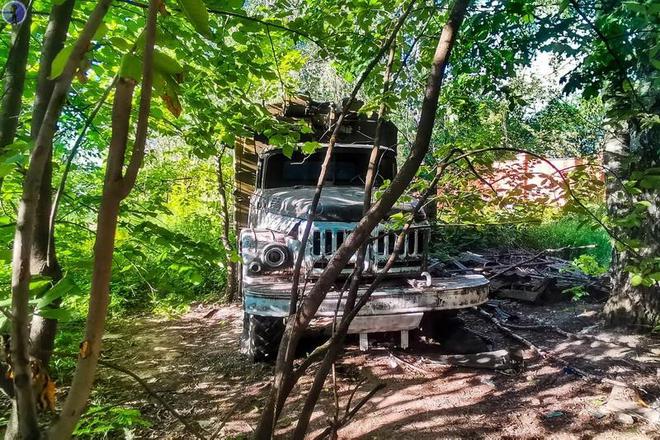 J9九游会：路边灌木丛中被遗弃的带有车顶棚的ZIL-131卡车(图4)