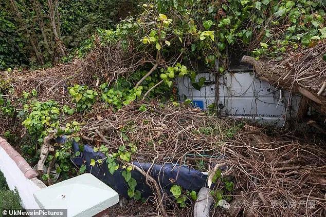 英国最乱花园曝光：“丛林”遮天蔽日、六辆废车、一艘船邻居看傻了！(图3)