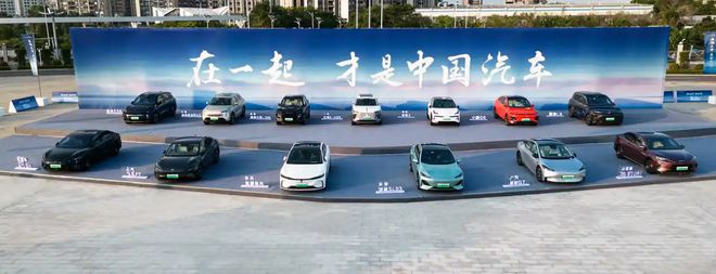德国汽车废了这三点他们无法解决只能眼睁睁看着被中国超越(图5)