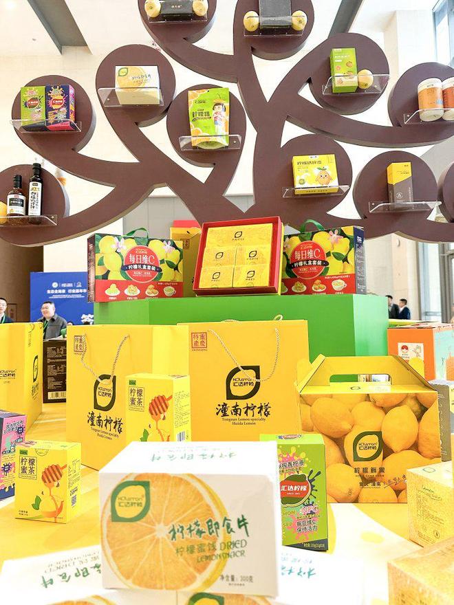 拼经济抓发展丨冲刺三条“赛道”潼南特色产业集群开新局(图2)