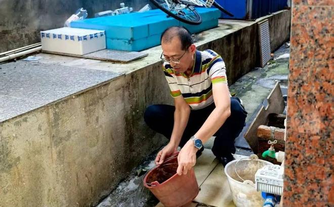 翻盆倒罐清积水、消杀打扫灭蚊虫！儋州干群齐行动→(图2)