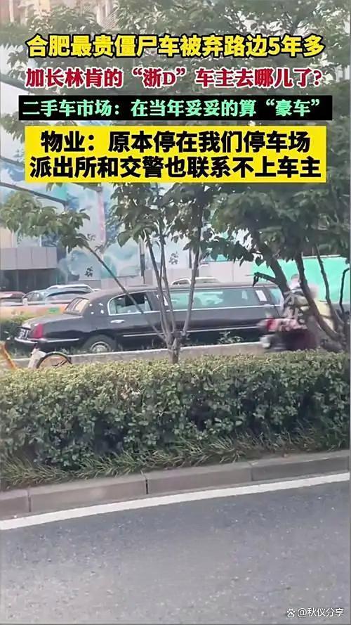 豪车停路边5年车主欠千元停车费百万豪车变“垃圾车”