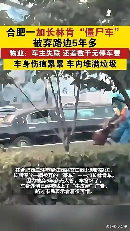豪车停路边5年车主欠千元停车费百万豪车变“垃圾车”(图3)