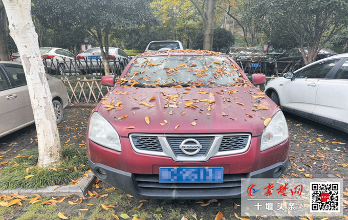 J9九游会：十堰这个公园109个车位停了70辆“僵尸车”四方山生态公园相关回复来了！