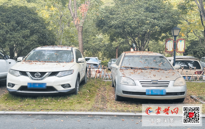 J9九游会：十堰这个公园109个车位停了70辆“僵尸车”四方山生态公园相关回复来了！(图2)