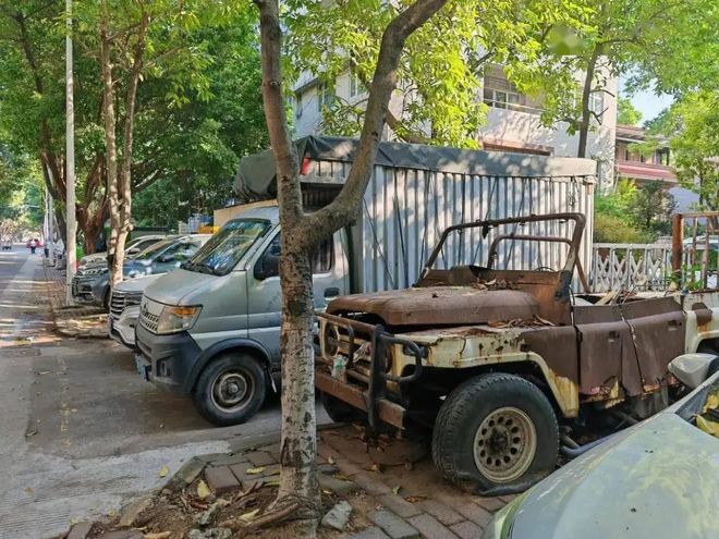 “僵尸车”越来越多为啥宁可把车扔掉也不报废？车主：我又不傻(图5)