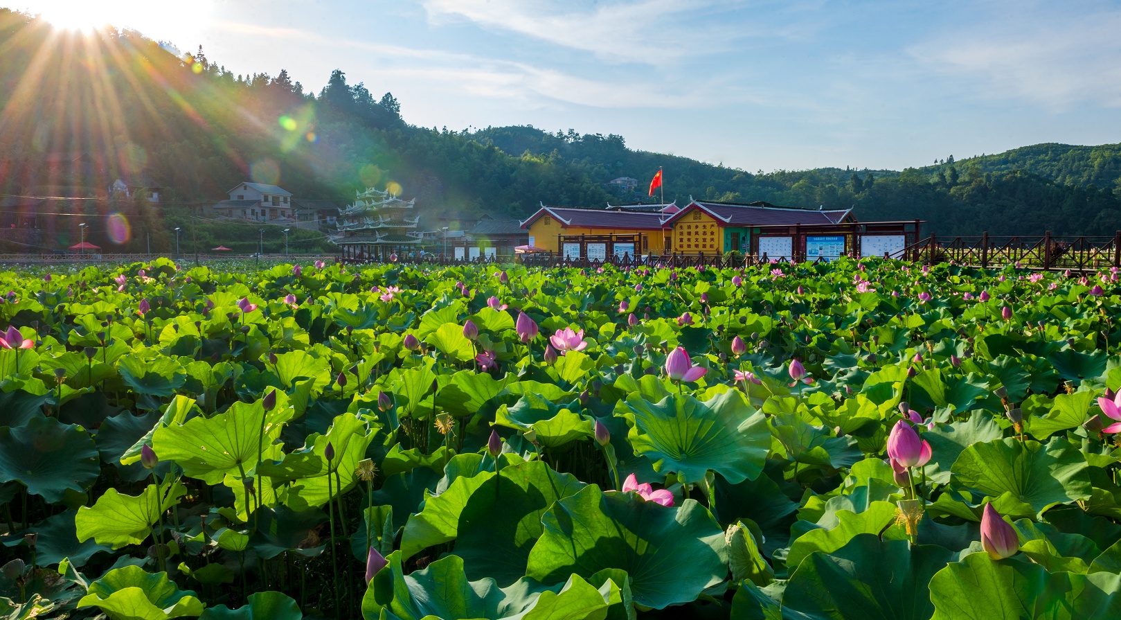 贵州岑巩：废旧轮胎“绘”出五彩路激活“美丽经济”(图3)