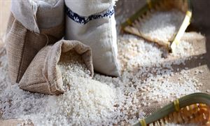 2024年报废汽车回收拆解行业市场发展现状及未来发展前景分析(图5)